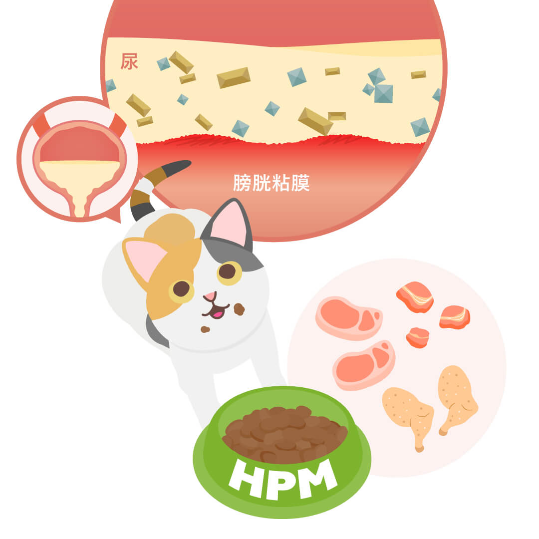 HPMストルバイト&シュウ酸塩結石U1は、動物用タンパク質を多く使用することでおいしく、継続的に続けられる、猫用の食事療法食です。