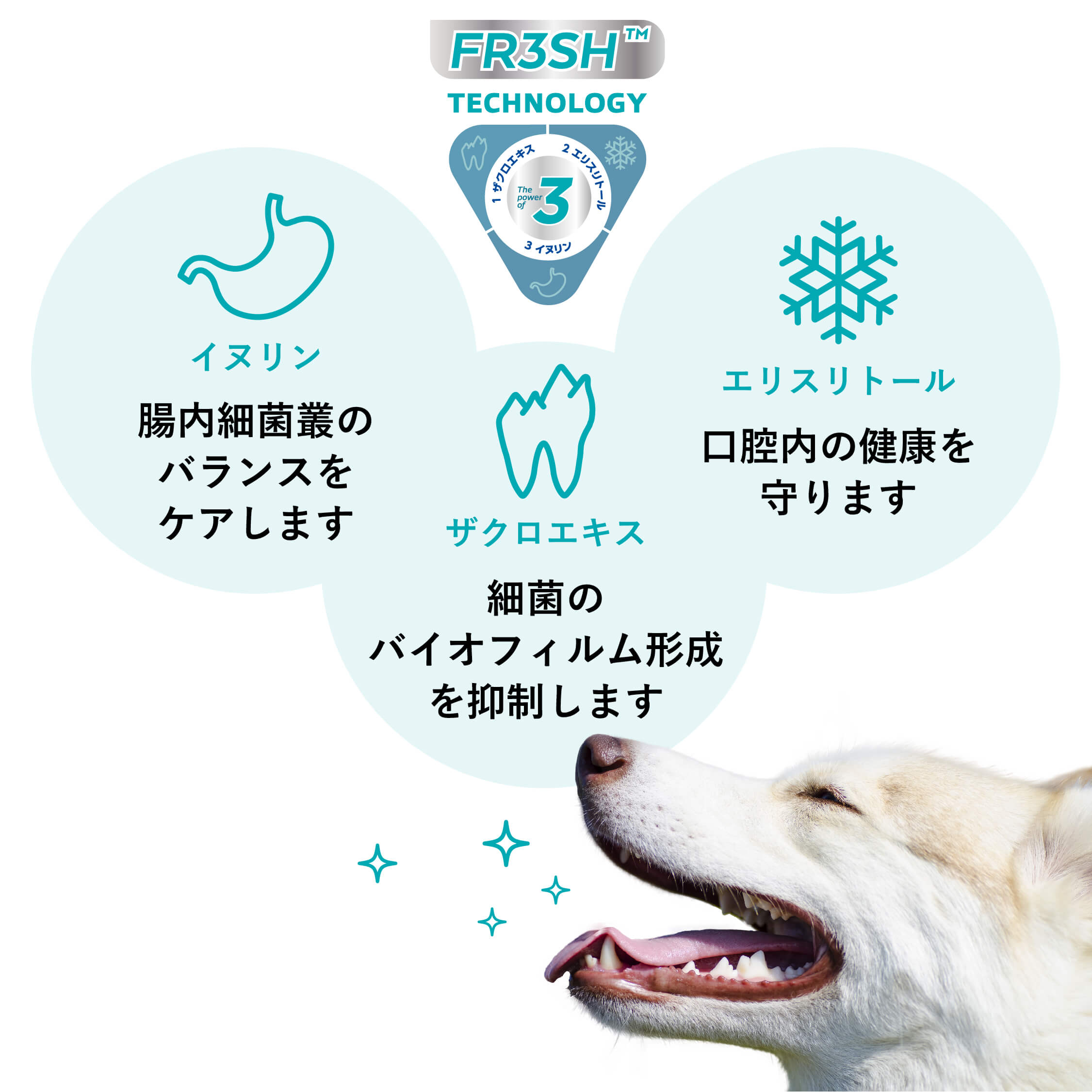 アクアデントフレッシュには、愛犬・愛猫のお口の健康を守る3つの成分が含まれています。