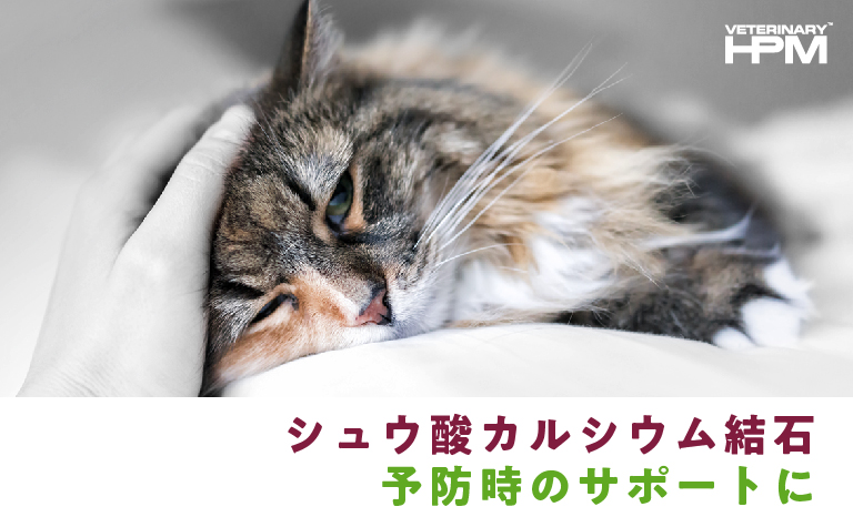 Veterinary Hpm 猫用ストルバイト シュウ酸塩結石u2 Phメンテナンス ビルバック公式通販サイト