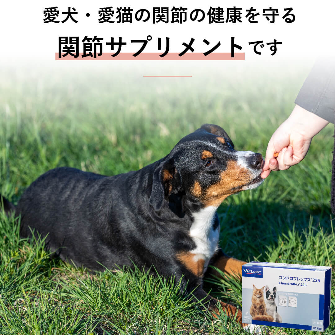 コンドロフレックス225 小型犬用 体重1kg〜7.5kg 1日0.5粒30日分
