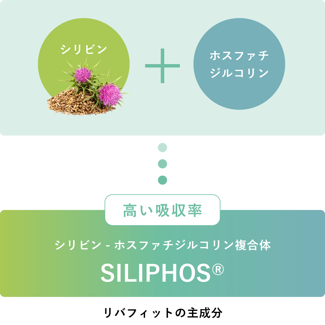 リバフィット