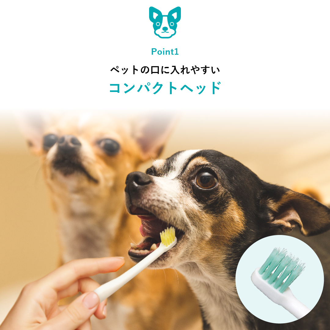 ビルバックのペリエイドデンタルブラシは、ペットの口に入れやすいコンパクトヘッドを採用した、獣医師と共同開発の歯周ポケットケアもできる動物専用歯ブラシです。