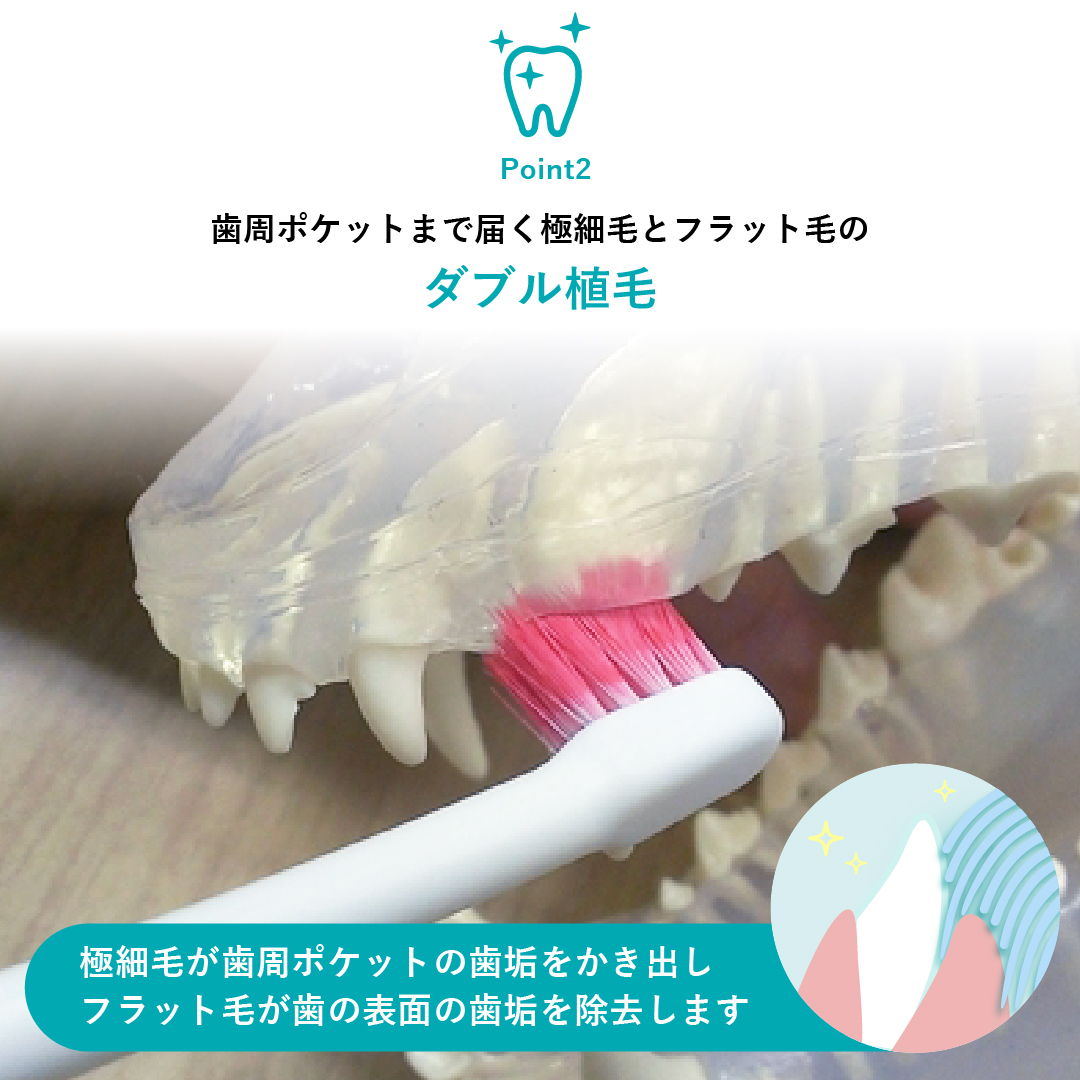 ビルバックのペリエイドデンタルブラシは、歯周ポケットの汚れをしっかりかき出せるダブル植毛。獣医師と共同開発の歯周ポケットケアもできる動物専用歯ブラシです。