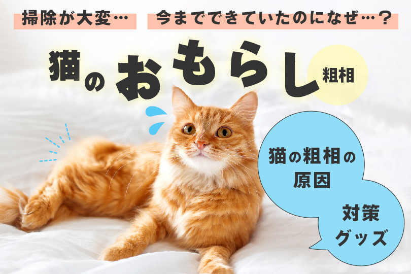 海外 ペダル 花 猫 が トイレ で しない メモ ウォルターカニンガム 通信網