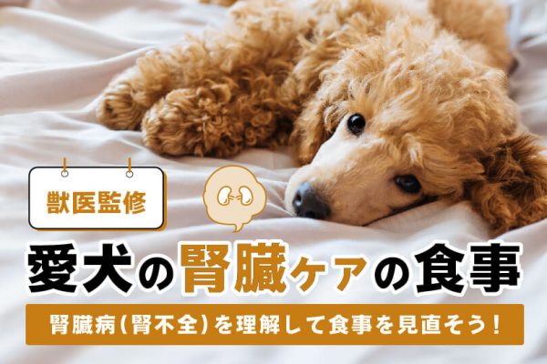 ペットのお悩みq A ビルバック公式通販サイト