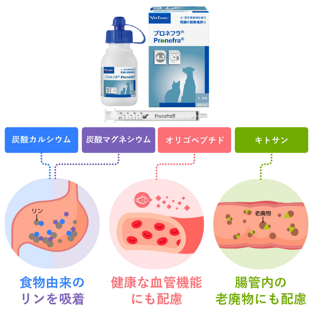 プロネフラは、腎臓の健康を守るための4つの成分が配合