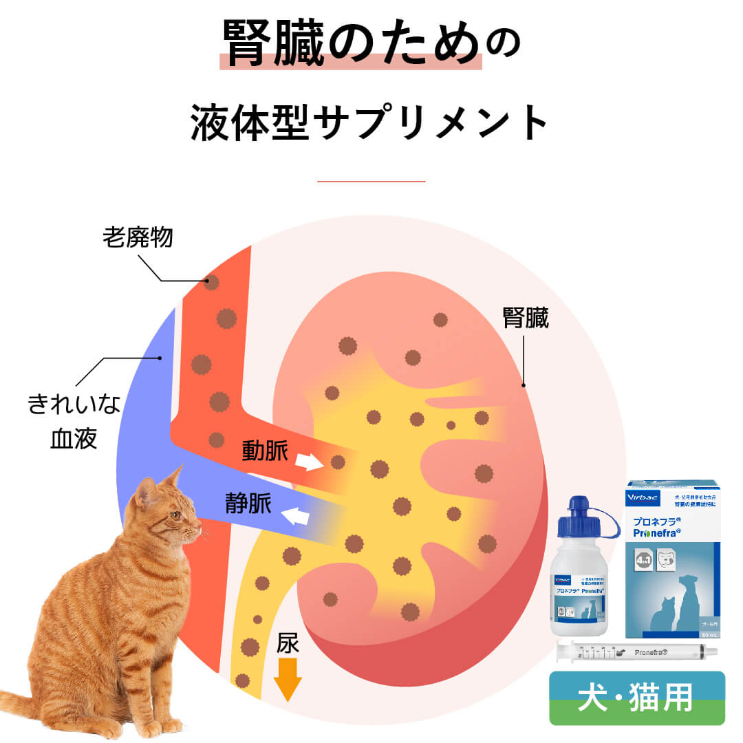 最新最全の プロネフラ60ml【2箱セット】犬猫用 その他 - mahaayush.in