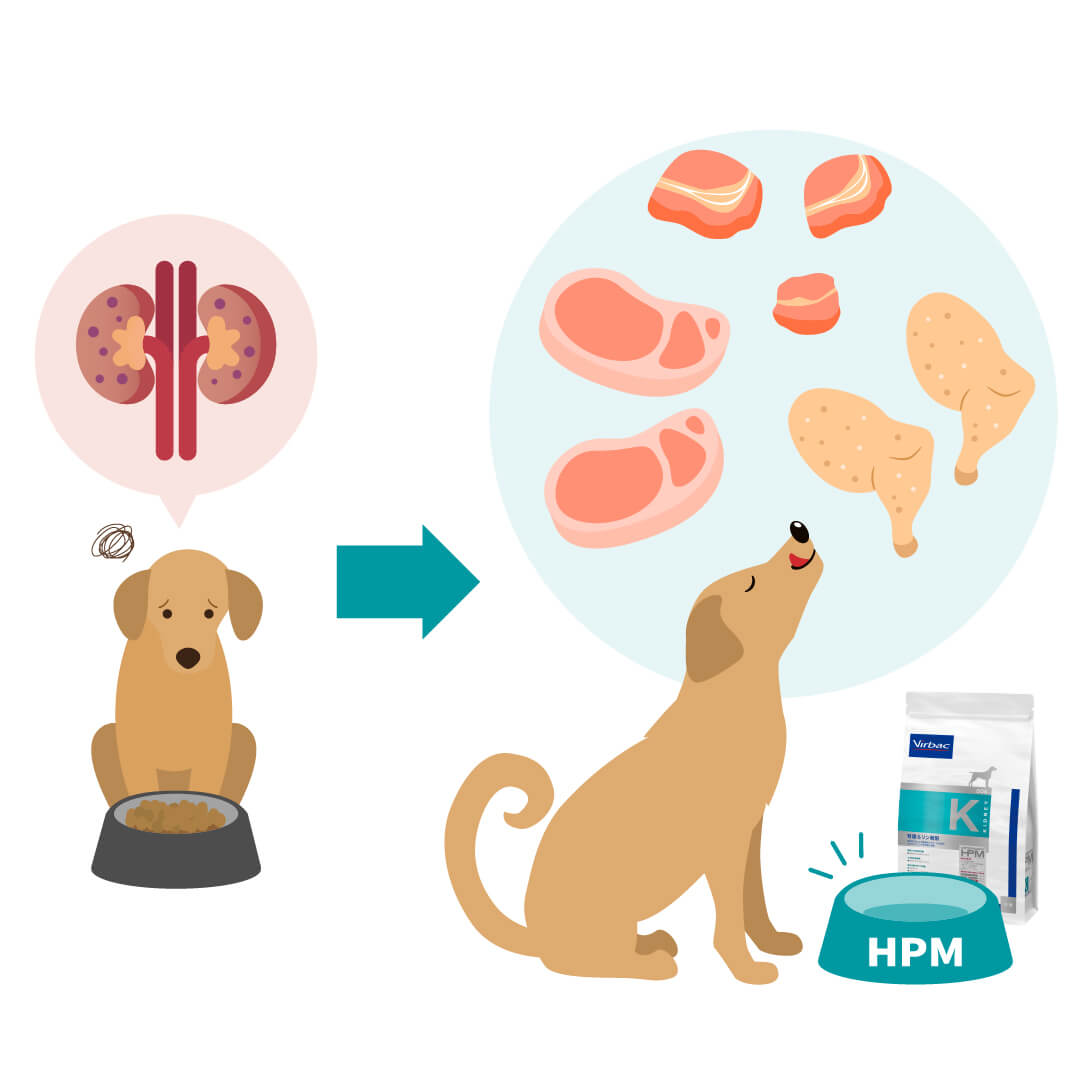 HPM腎臓&リン制限は、慢性腎臓病時の食欲の低下に配慮したおいしさになっているので、食べ続けてもらいやすい犬用食事療法食です。