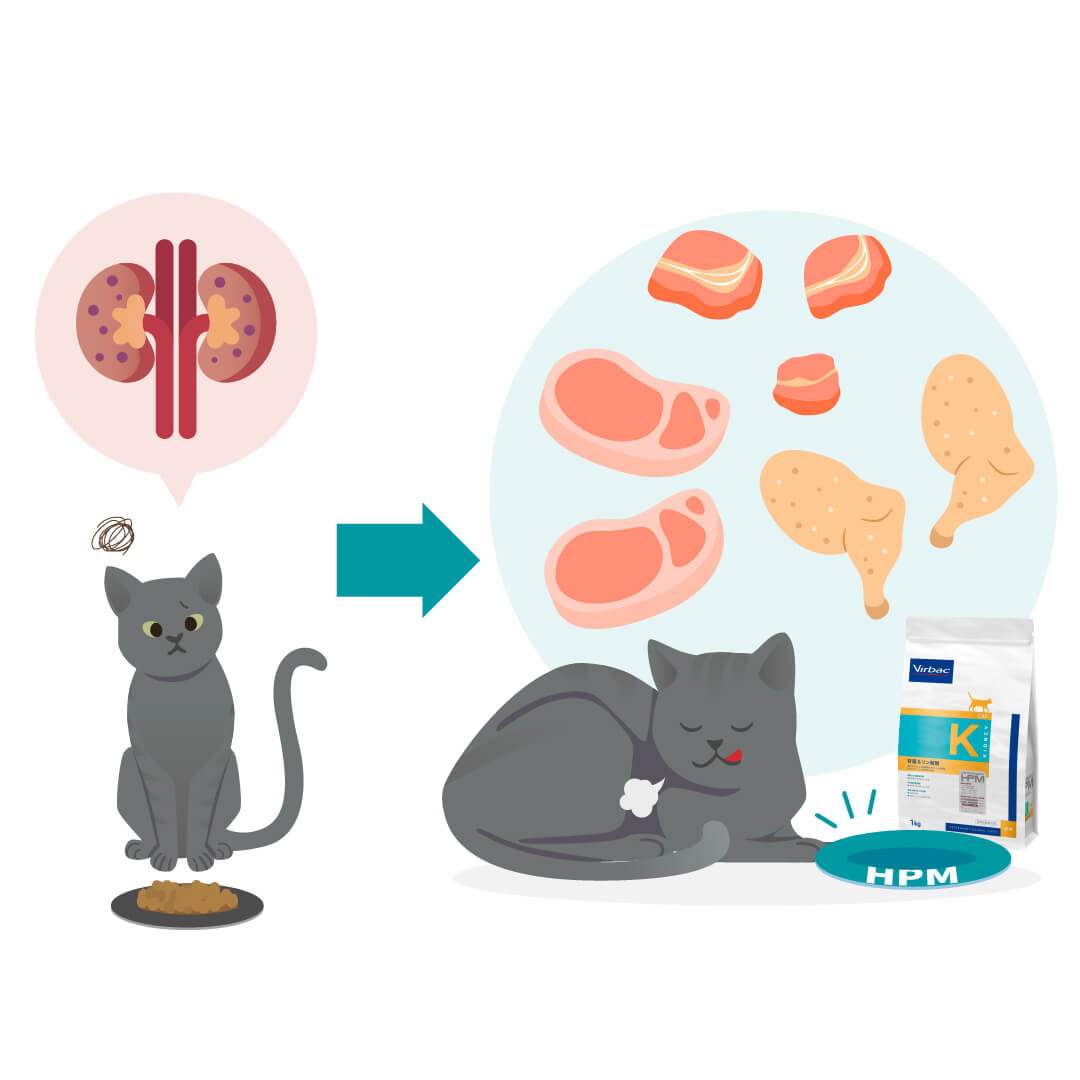 HPM腎臓&リン制限は、慢性腎臓病時の食欲の低下に配慮したおいしさになっているので、食べ続けてもらいやすい猫用食事療法食です。