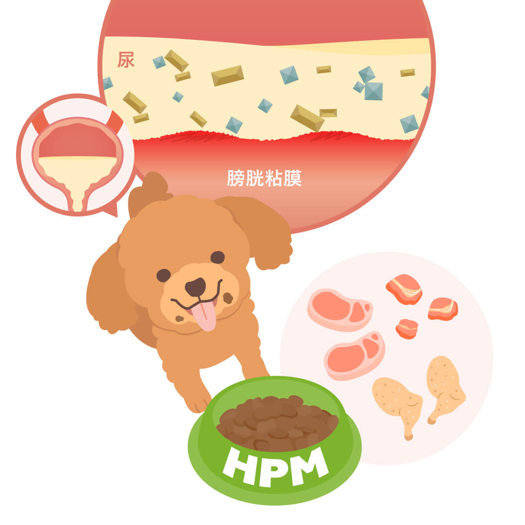 HPMストルバイト&シュウ酸塩結石は、動物用タンパク質を多く使用することでおいしく、継続的に続けられる、犬用の食事療法食です。
