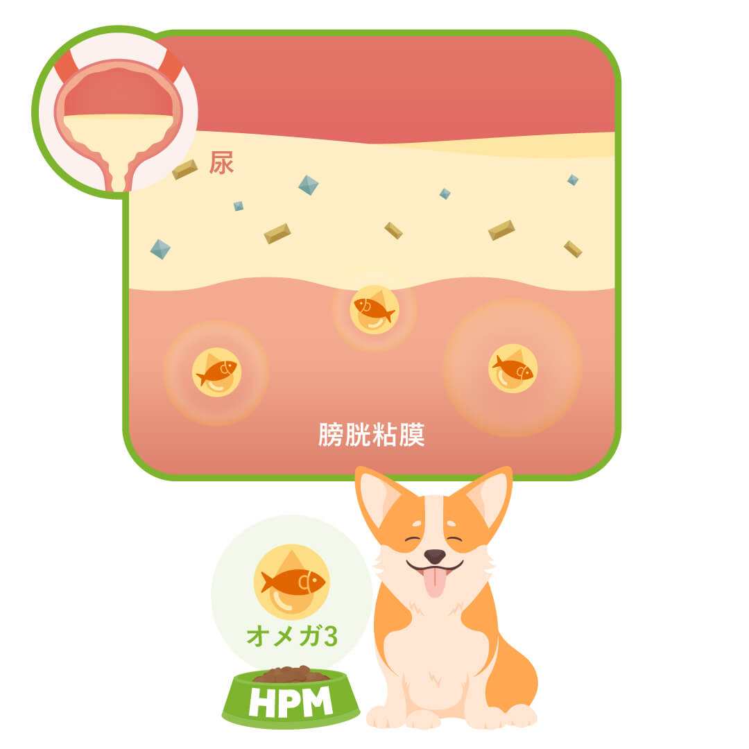 HPMストルバイト&シュウ酸塩結石は、ミネラル等を調節することにより尿石に配慮しながら、膀胱の健康をサポートするオメガ‐３を配合しています。
