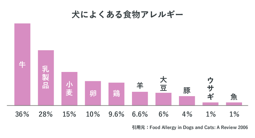 犬によくある食物アレルギー