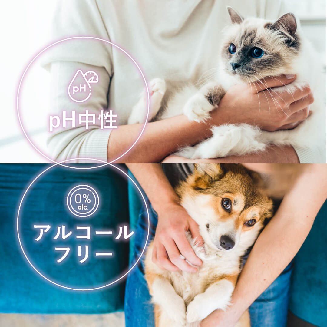 アラダームウォータレスシャンプーは、pH中性、アルコールフリーの低刺激設計ですべての肌質の犬（猫）に使えるドライシャンプーです。
