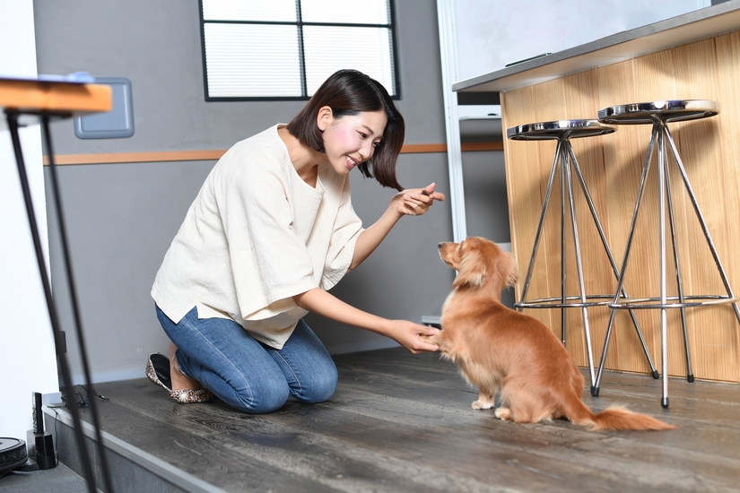 犬のしつけを行う飼い主