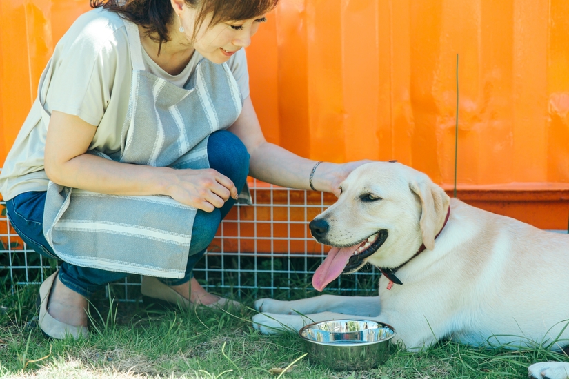 外で過ごす飼い主と犬