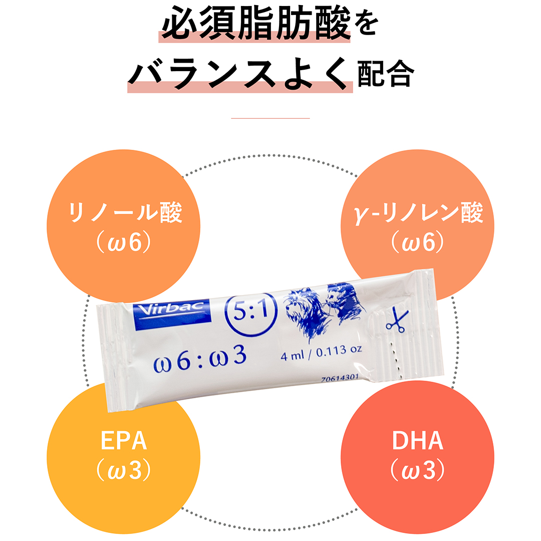 オメガダームの使用イメージ