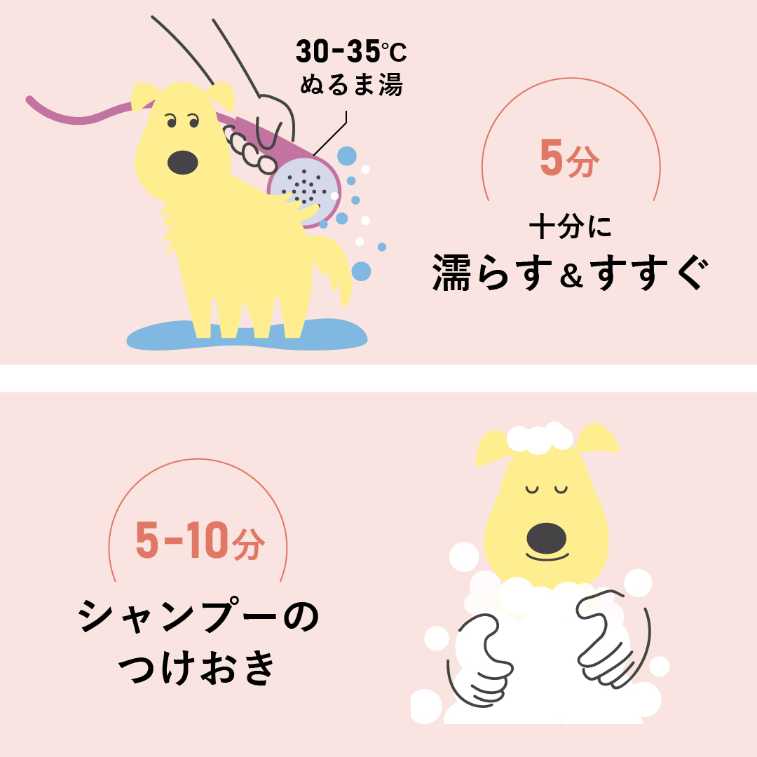 おうちでアデルミルを使うときのポイントはお湯の温度とシャンプーでのつけおき時間
