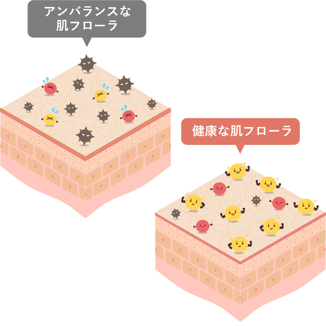健康な肌バリアには保湿以外に肌フローラが大切となる