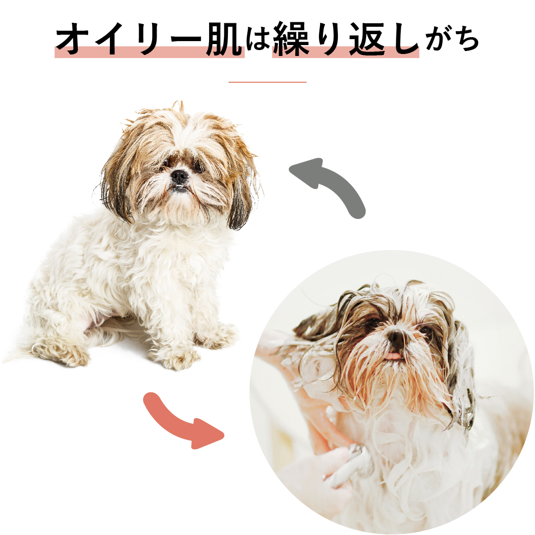 ケラトラックスは,肌質を根本から改善することで、シャンプーしても繰り返してしまう犬の脂っぽい肌を健康にします。