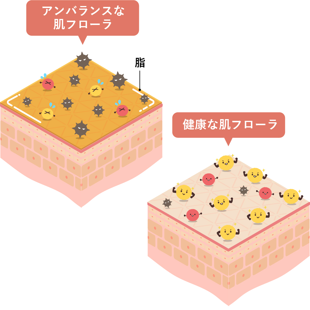 肌の上の常在菌である肌フローラが乱れることで犬のオイリー肌は繰り返さるため、肌フローラを整えることがオイリー肌の改善には大切です。