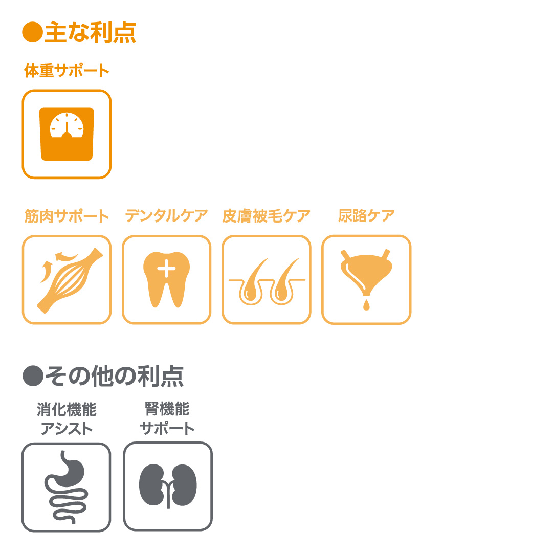 主な利点とその他利点のアイコンと説明の画像