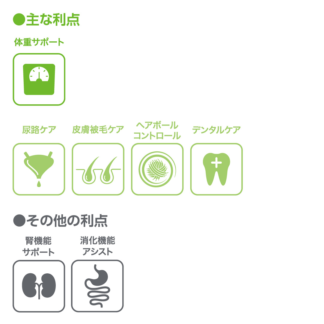 主な利点とその他利点のアイコンと説明の画像