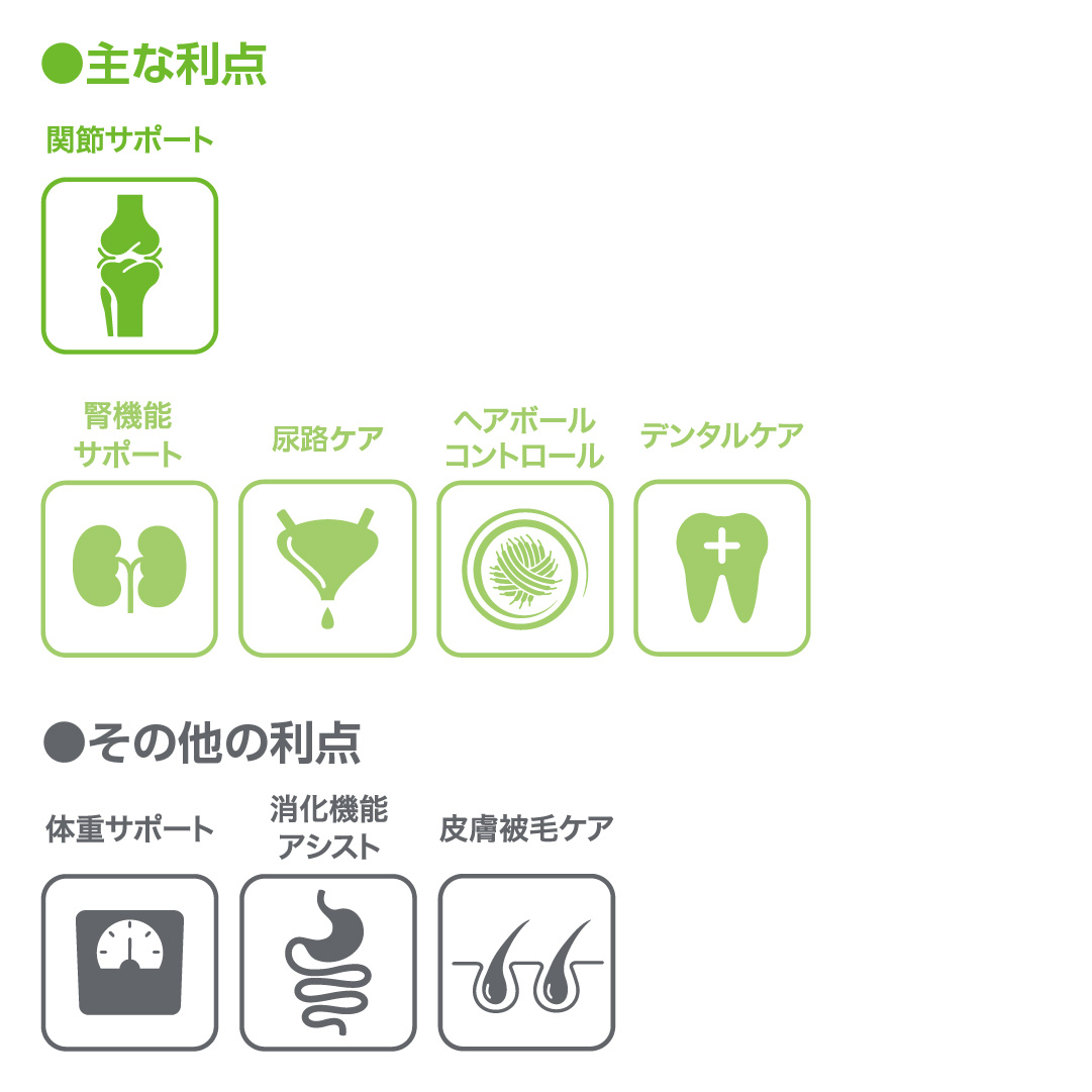 主な利点とその他利点のアイコンと説明の画像