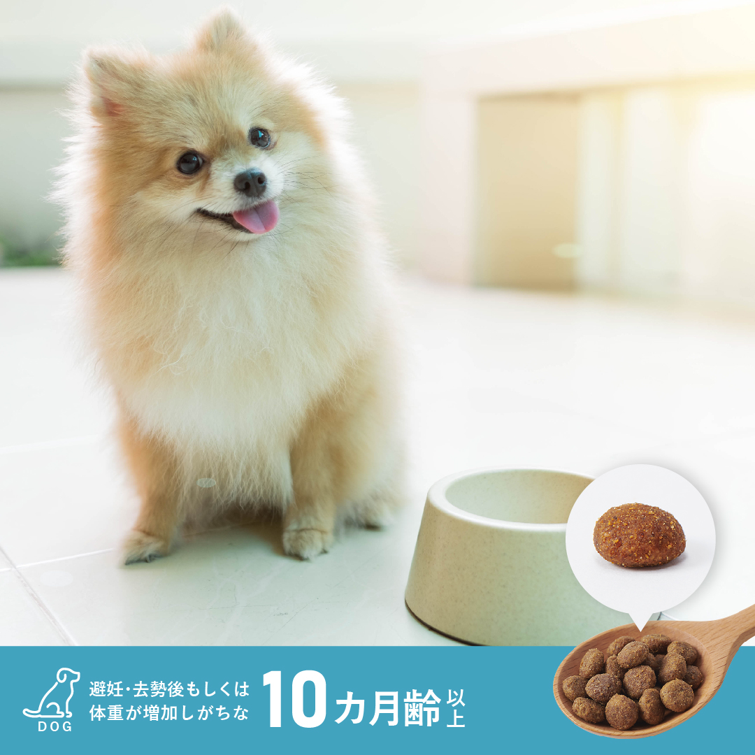 30%OFF】VETERINARY HPM 犬用 アダルトニュータード (避妊去勢済み) 2kg