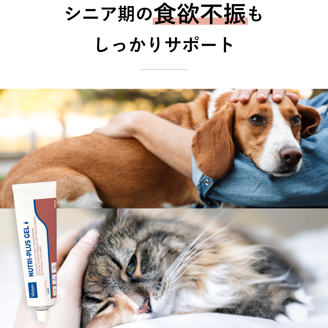 シニア期の食欲不振もしっかりサポートというテキストと犬猫、ニュートリプラスゲルのパッケージ写真