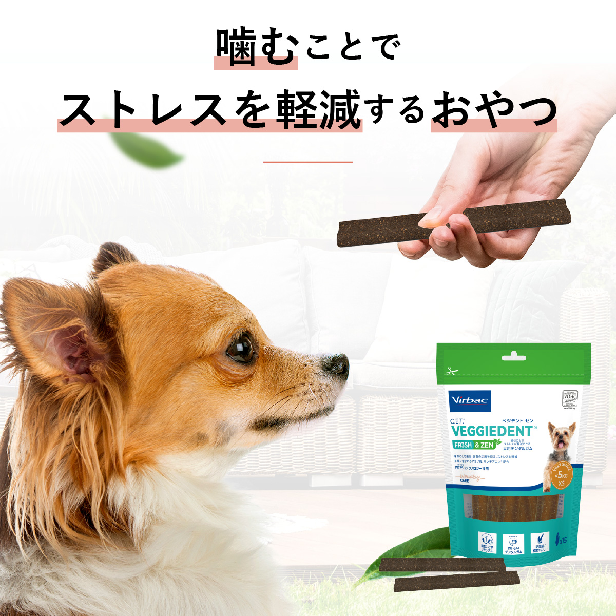 【魅力1】ストレス3割減！噛んで楽しくストレス解消