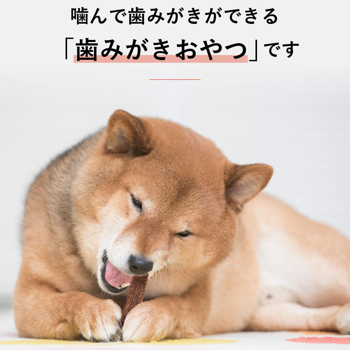 C.E.T.ベジデントフレッシュ