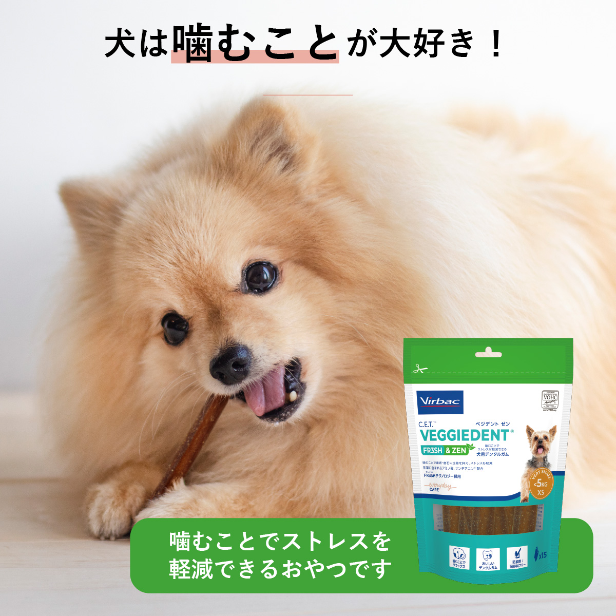 C.E.T.ベジデントゼン